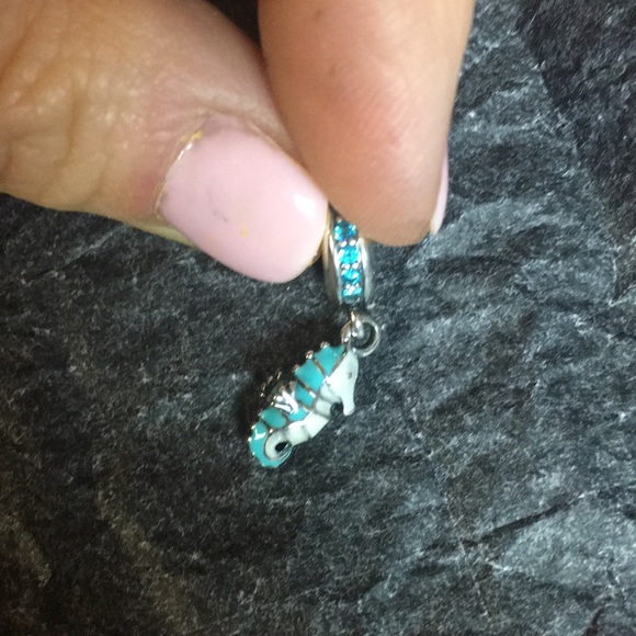 Pandora Jewelry - Pandora charm